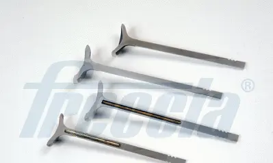 Exhaust Valve (WG2169649)