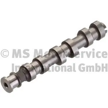 Camshaft (WG1380622)