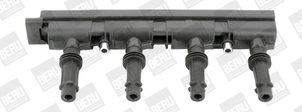 Ignition Coil (WG1756504)