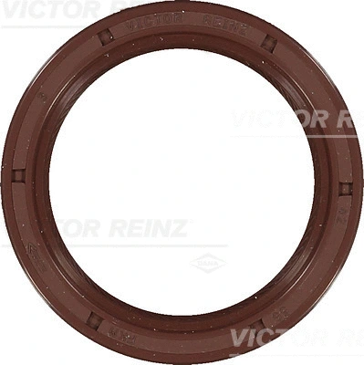 Shaft Seal, crankshaft (WG1250619)