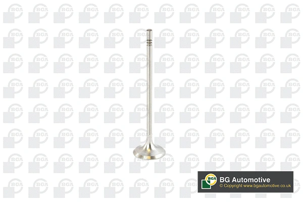 Intake Valve (WG1491046)