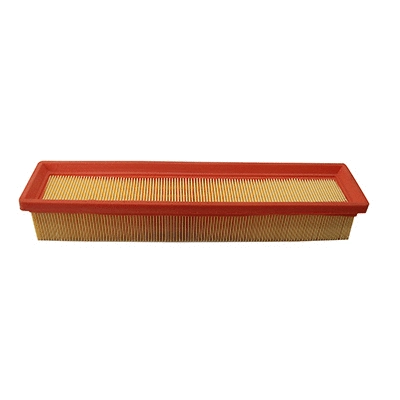 Air Filter (WG2152119)