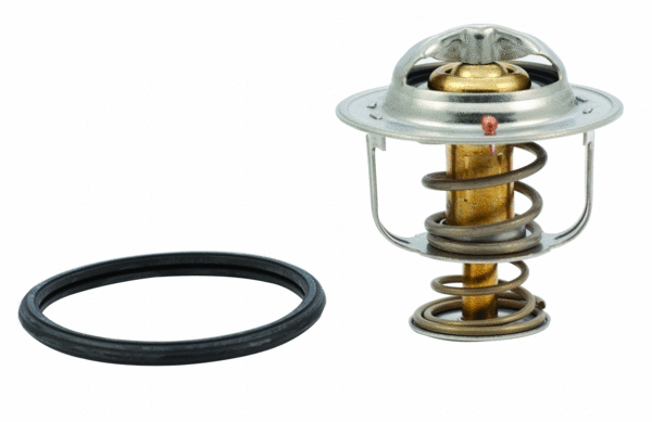 Thermostat, coolant (WG1409261)