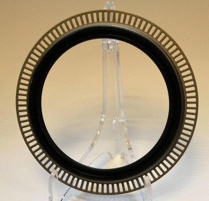 Shaft Seal, differential