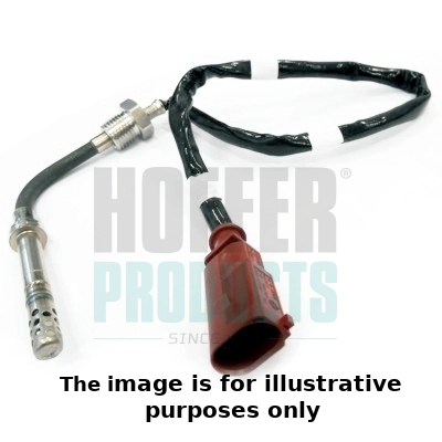 Sensor, exhaust gas temperature (WG1901834)