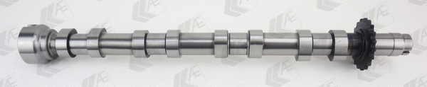 Camshaft (WG2179558)