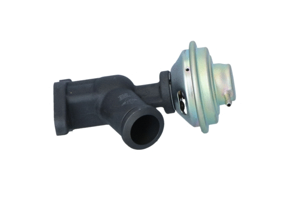 EGR Valve (WG2184498)