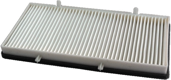 Filter, cabin air (WG1747221)