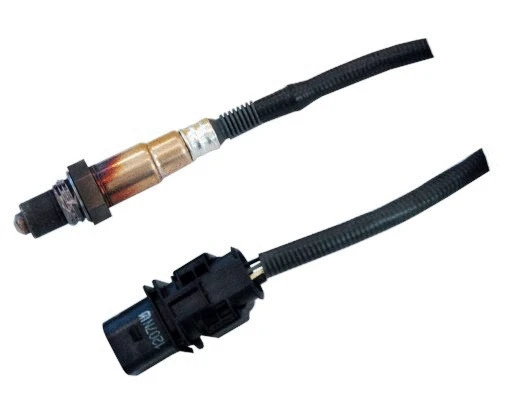 Lambda Sensor (WG1013971)