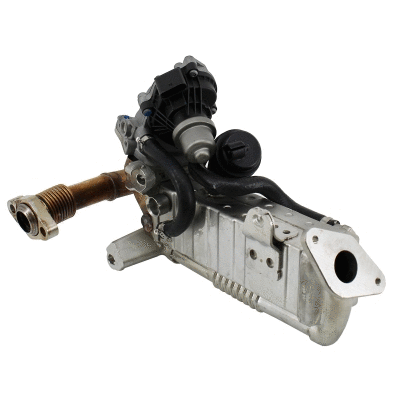 EGR Module (WG2196329)