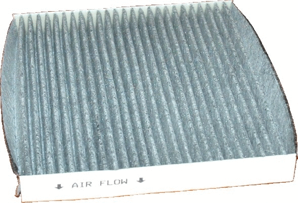 Filter, cabin air (WG1747103)