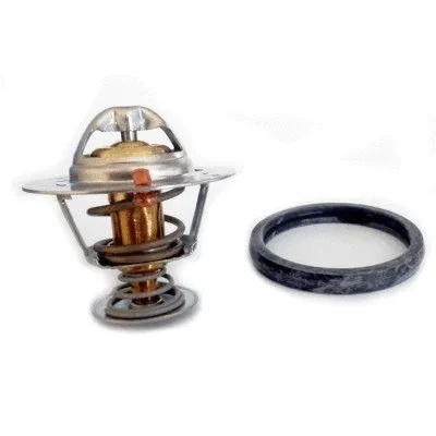 Thermostat, coolant (WG1749717)