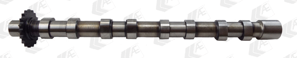 Camshaft (WG1497631)
