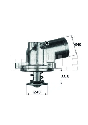Thermostat, coolant (WG1262774)