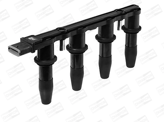 Ignition Coil (WG2009261)