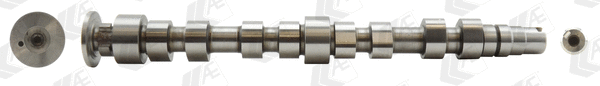 Camshaft (WG1462558)