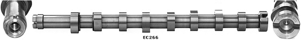 Camshaft (WG1051378)
