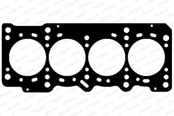 Gasket, cylinder head (WG1090901)