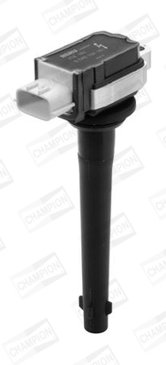 Ignition Coil (WG2009160)