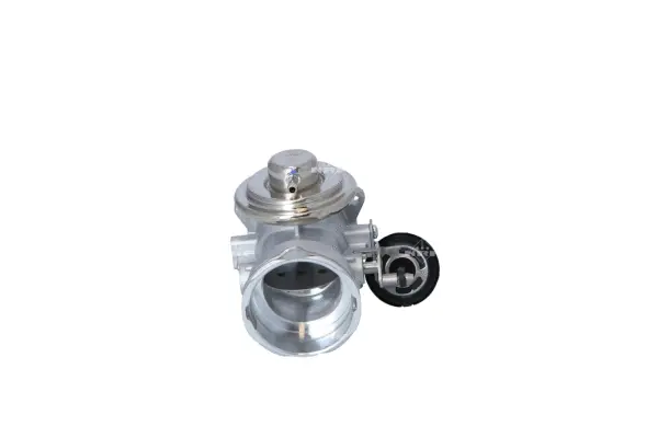 EGR Valve (WG2161801)