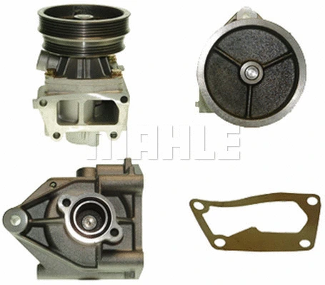 Water Pump, engine cooling (WG2181464)