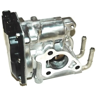 EGR Valve (WG1015356)