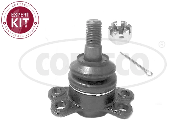 Ball Joint (WG2288437)