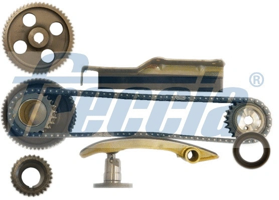 Timing Chain Kit (WG1910023)