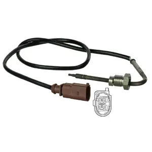 Sensor, exhaust gas temperature (WG1978001)