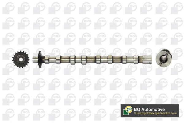 Camshaft (WG1814309)