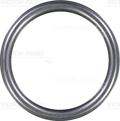 Seal Ring (WG1243615)