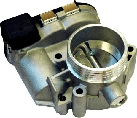 Throttle Body (WG1013568)