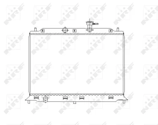 Radiator, engine cooling (WG1722366)