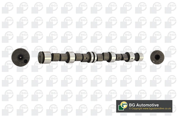 Camshaft (WG1490496)