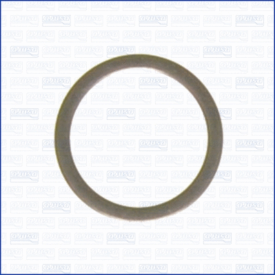 Seal Ring, oil drain plug (WG1452022)