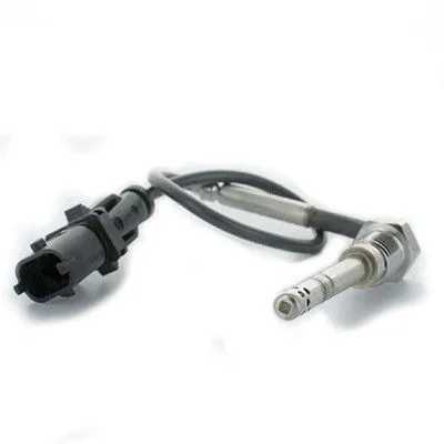 Sensor, exhaust gas temperature (WG1748746)