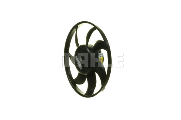 Fan, engine cooling