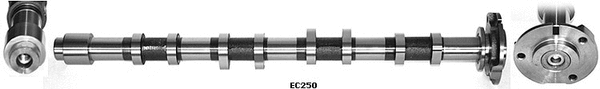 Camshaft (WG1051368)