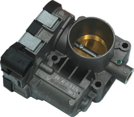 Throttle Body (WG1013535)