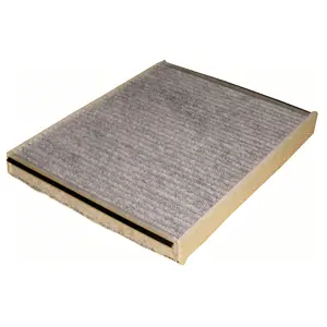 Filter, cabin air (WG1774676)