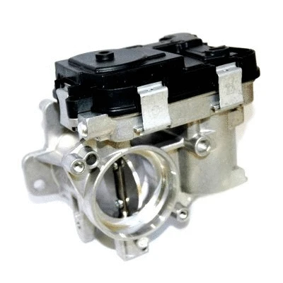 Throttle Body (WG1013606)