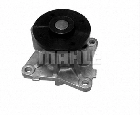 Water Pump, engine cooling (WG2181983)