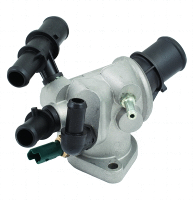 Thermostat, coolant (WG1409161)