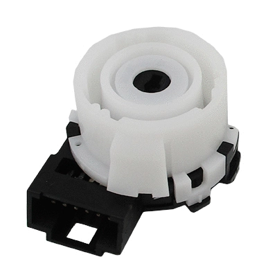 Ignition Switch (WG1901801)