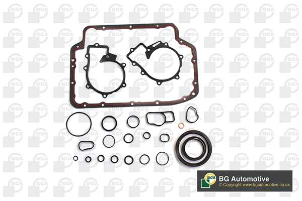 Gasket Kit, crankcase (WG1910532)