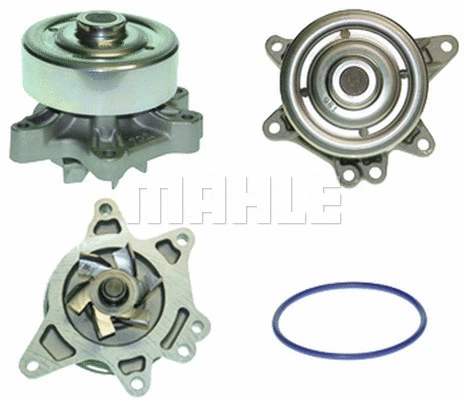 Water Pump, engine cooling (WG2181612)