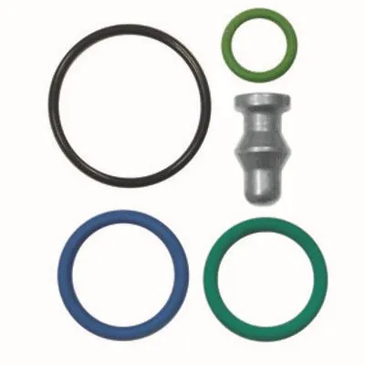 Repair Kit, unit injector (WG2263305)