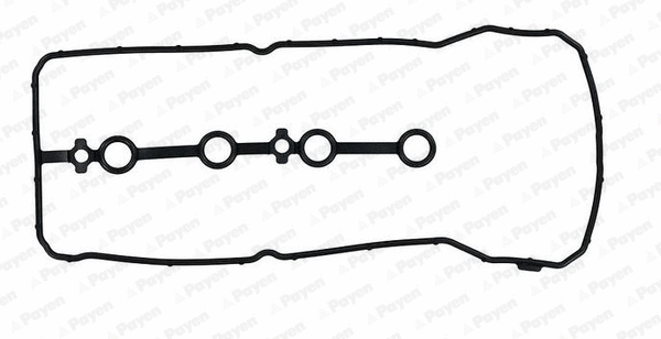 Gasket, cylinder head cover (WG2202430)