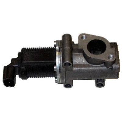 EGR Valve (WG1015402)