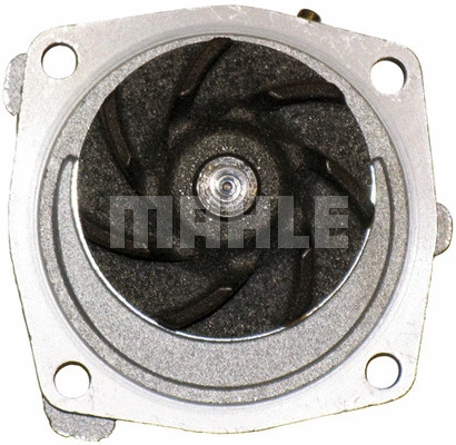 Water Pump, engine cooling (WG2181520)